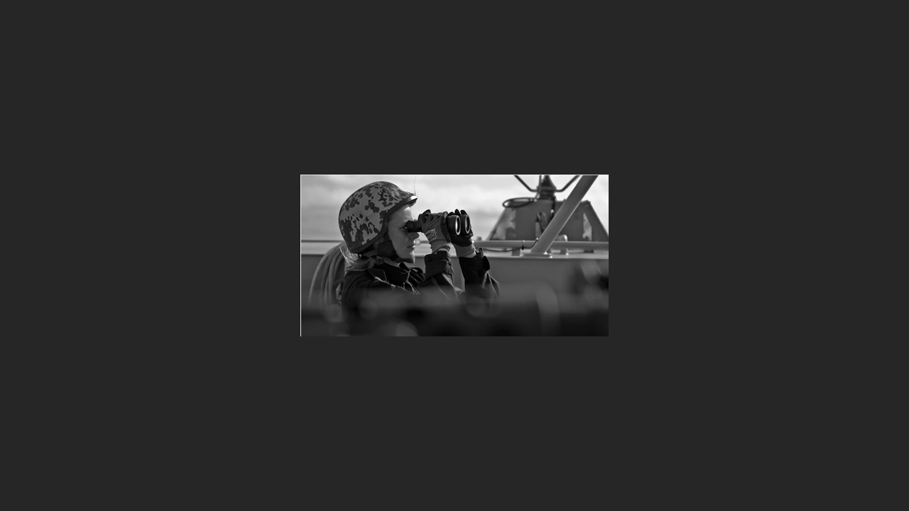 Maritime Surveillance Networking