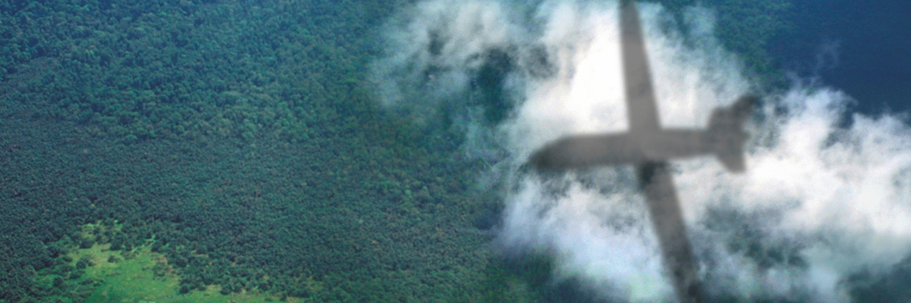 EDA market survey on commercially available RPAS services   